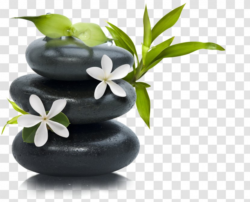 Lotion Stone Massage Day Spa Transparent PNG