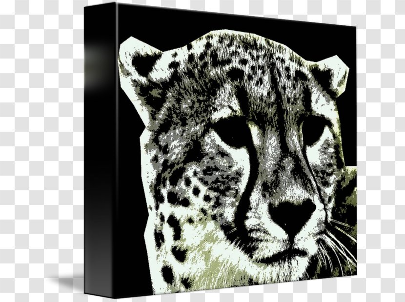 Leopard Cheetah Jaguar Cat Mammal - Fauna Transparent PNG