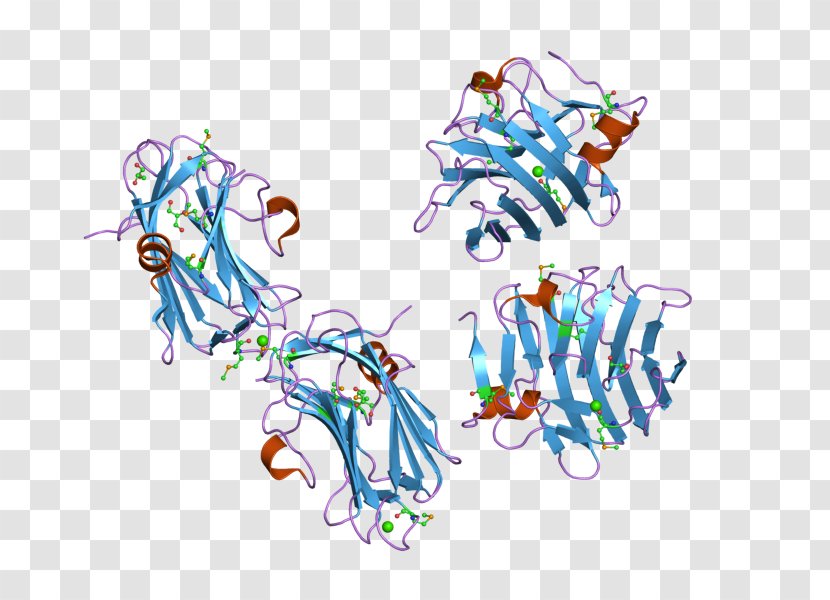 NRXN1 Neurexin Crystal Structure Protein - Heart - Tree Transparent PNG