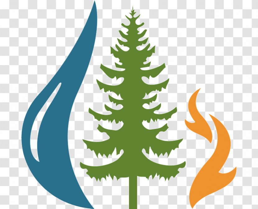 San Juan National Forest Christmas Tree Spruce-fir Forests Fire - Evergreen Transparent PNG