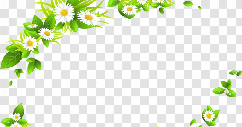 Chamomile Common Daisy Clip Art - Stock Photography Transparent PNG