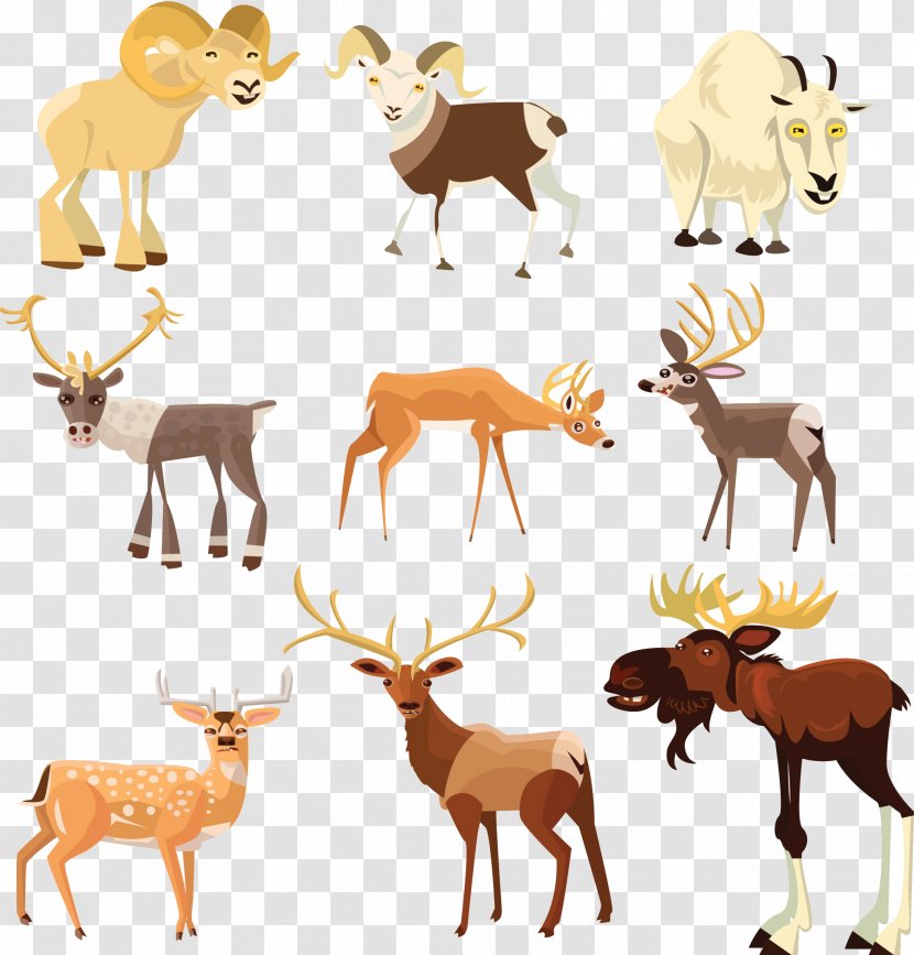 Antelope Elk Moose Deer Ungulate - Hoof - Tibetan Illustrator Transparent PNG