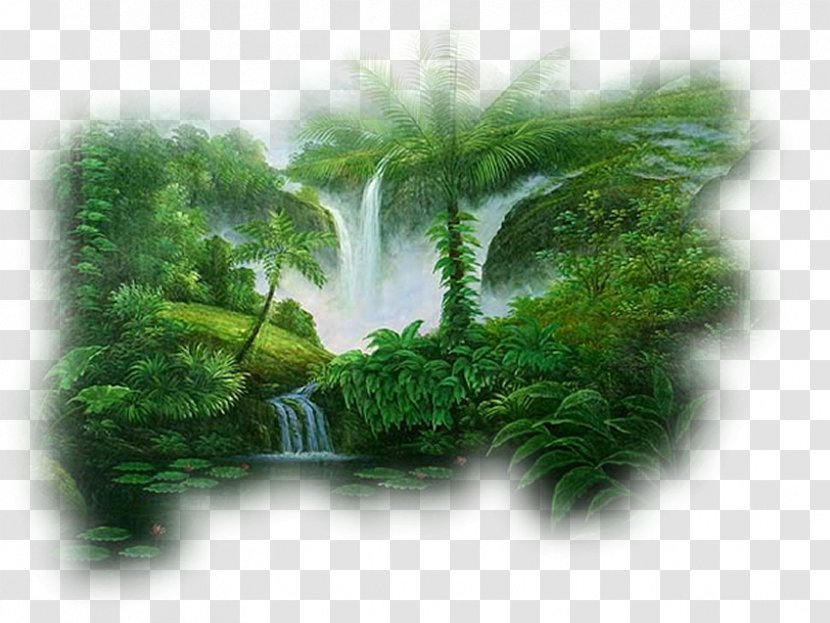 Natural Landscape Nature - Vegetation Transparent PNG