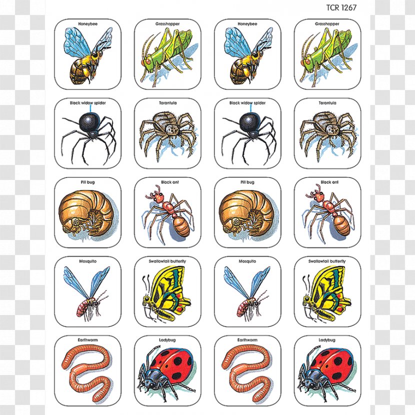 Insect Game Animal Pollinator Drawing Transparent PNG