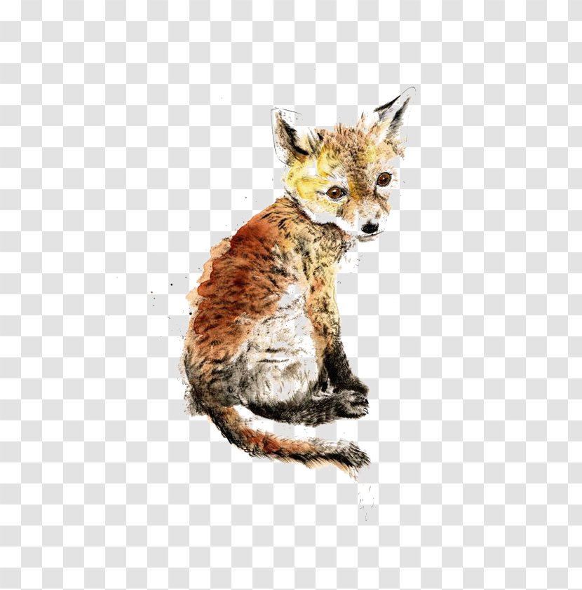 Red Fox Gray Wolf Silver Arctic - Drawing Transparent PNG