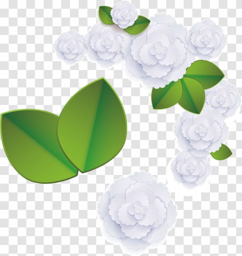 Floral Design Image Adobe Photoshop - Beach Rose - White Vector Transparent PNG