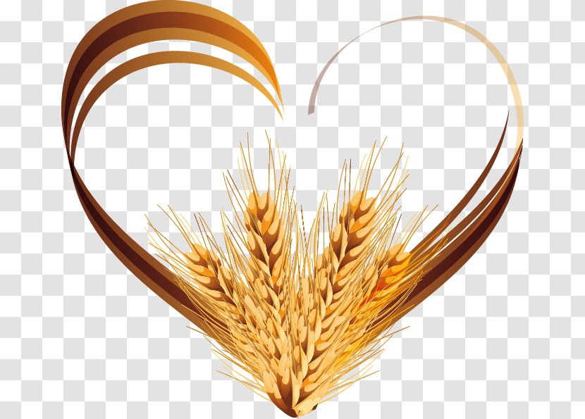 Wheat - Commodity - Vector Hand-painted Love Transparent PNG