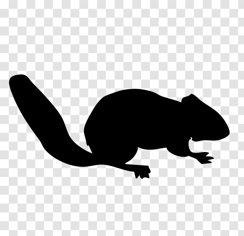 Squirrel Silhouette Siberian Chipmunk Clip Art - Black And White - Contour Transparent PNG