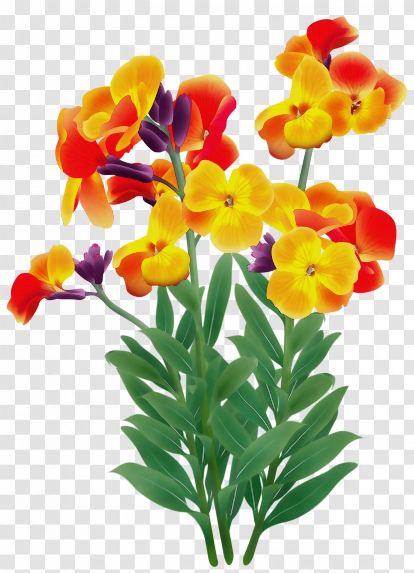 Watercolor Flower - Wallflower - Artificial Pedicel Transparent PNG