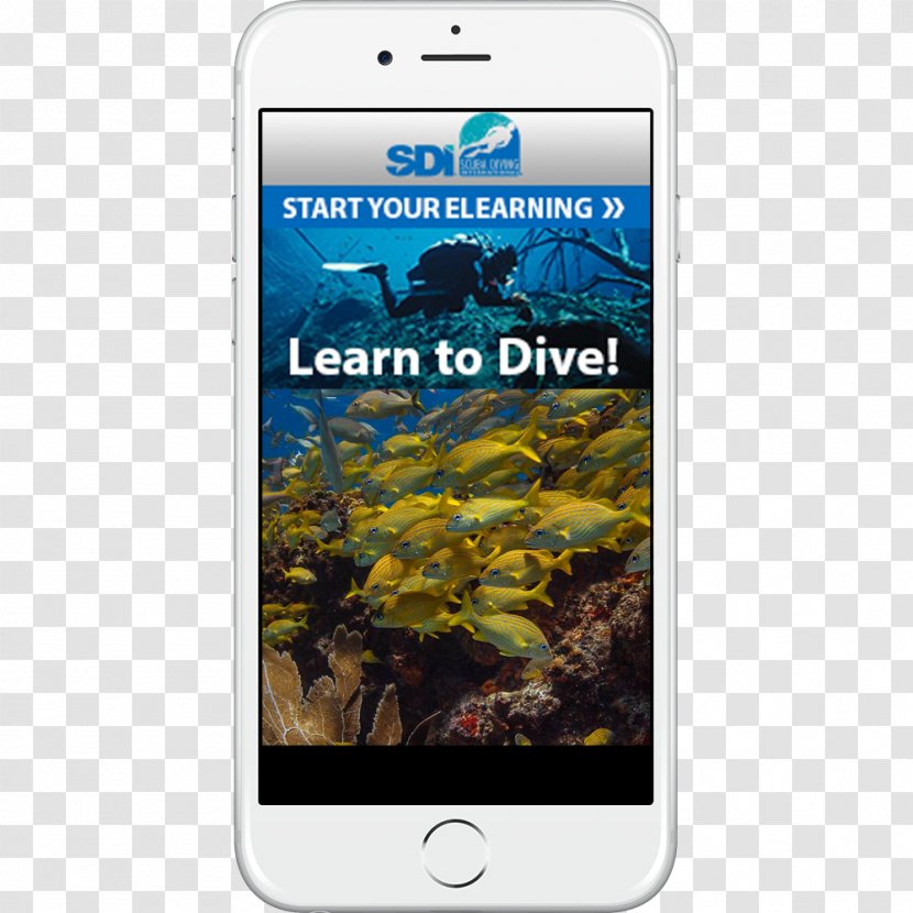 Smartphone HTC Desire Eye Professional Association Of Diving Instructors Scuba Underwater - Electronic Device Transparent PNG