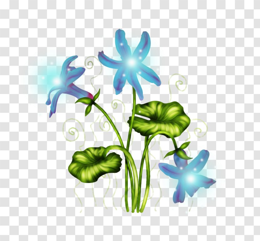 Flower Petal Clip Art JPEG - Flowering Plant - Morning Glory Vine Cartoon Transparent PNG