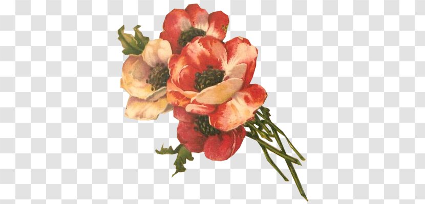 Floral Design Paper Flower Bouquet Cut Flowers - Plant Transparent PNG