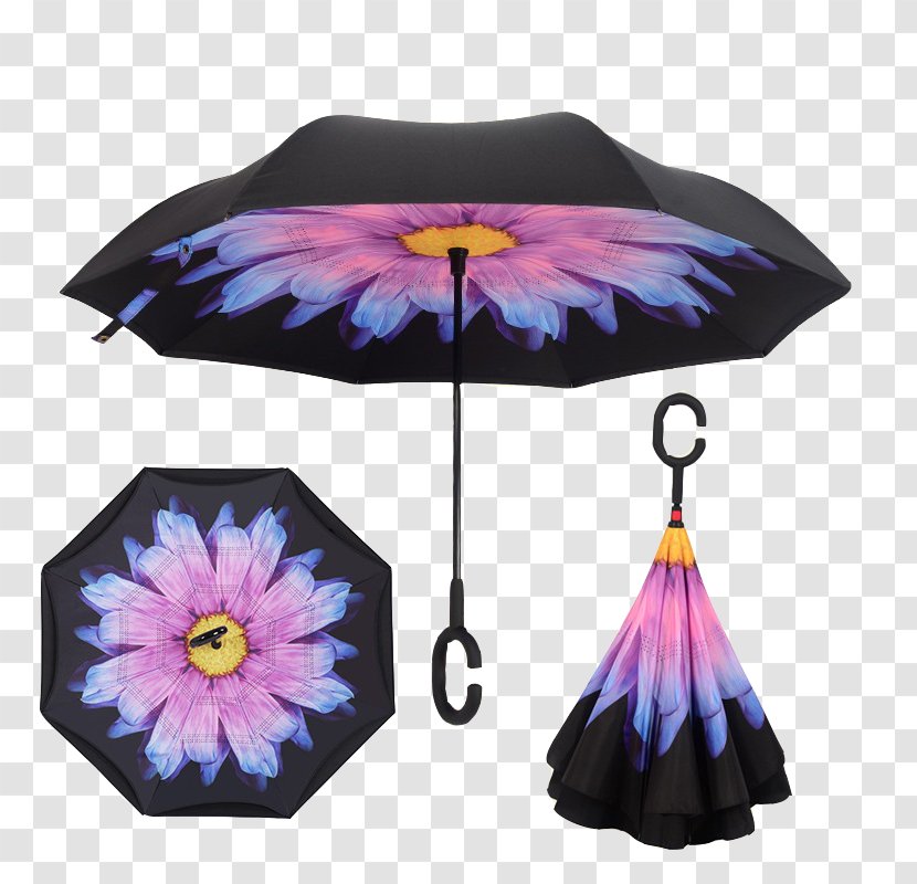 Umbrella Sun Protective Clothing Handle Rain Transparent PNG