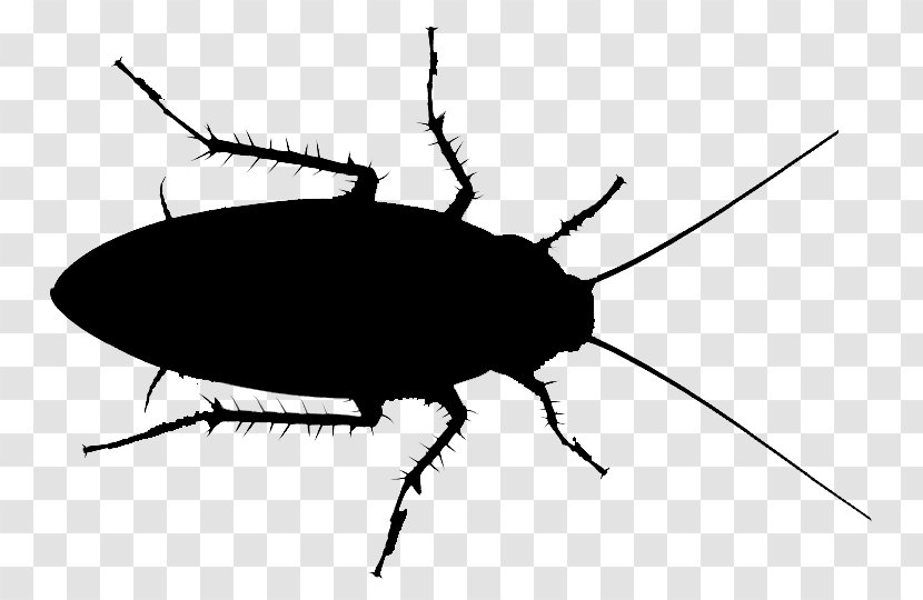 American Cockroach Image Indoxacarb - Pest Transparent PNG