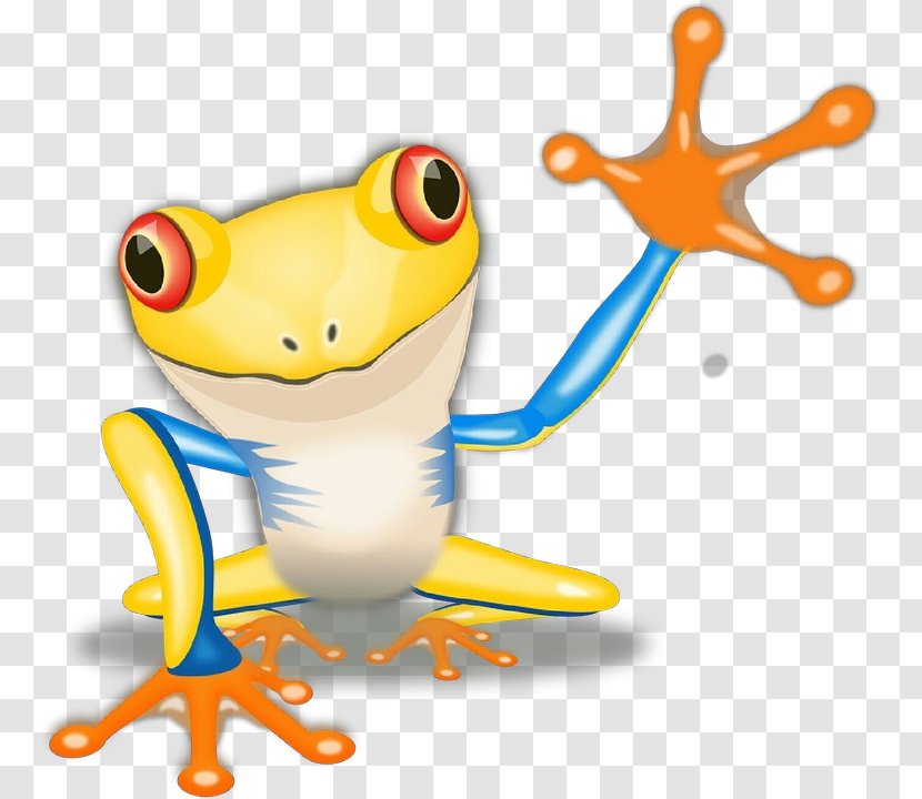 Agalychnis Tree Frog Cartoon - Shrub Transparent PNG