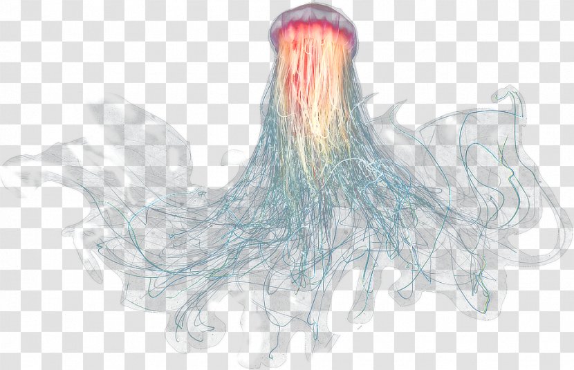 Jellyfish Sea Oceanic Zone - Long Hair - Jelly Transparent PNG