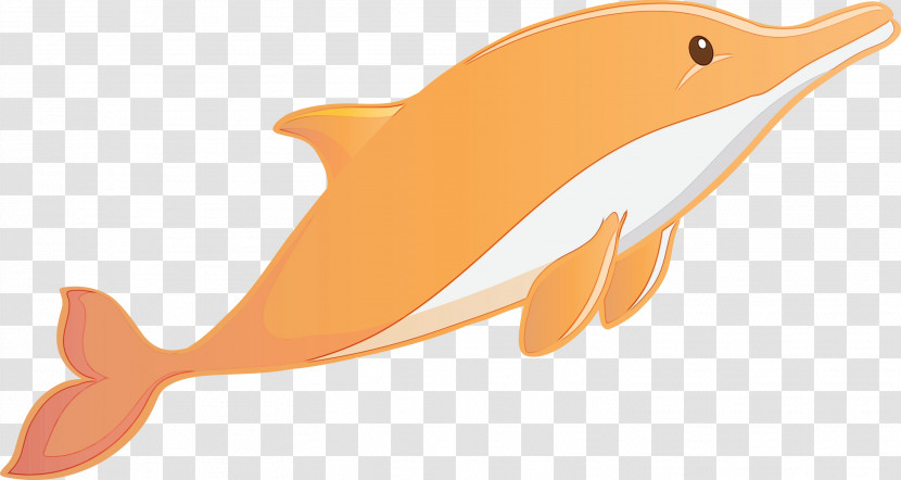 Orange Transparent PNG