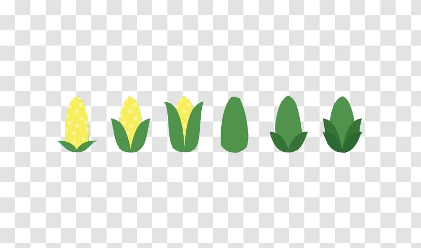 Maize Corn Kernel - Vegetable - Of Transparent PNG