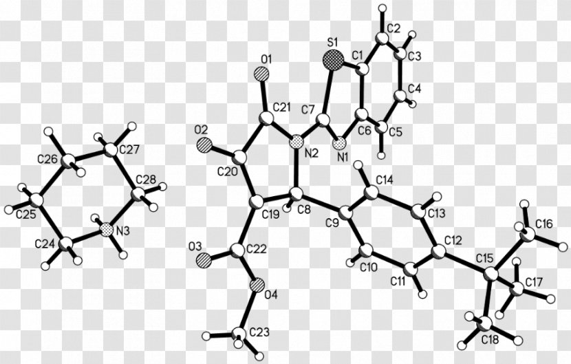 Car Point Angle Font Line Art - Tree - Molecular Structure Background Transparent PNG