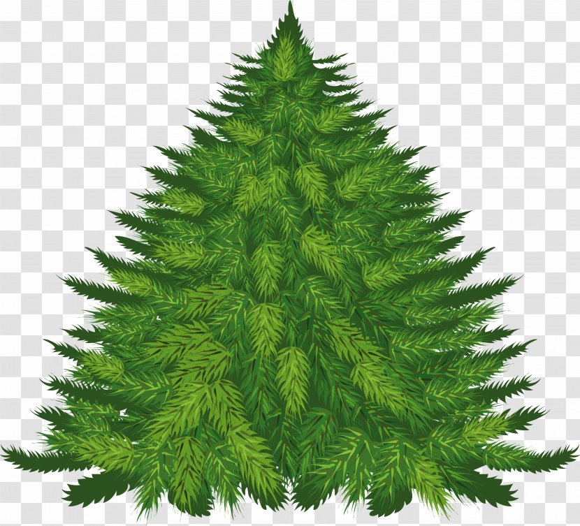 Fir Pine Cedar Tree Clip Art - Spruce - Fir-tree Image Transparent PNG