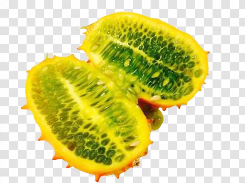 Horned Melon Fruit Auglis - Watercolor - Halves Transparent PNG