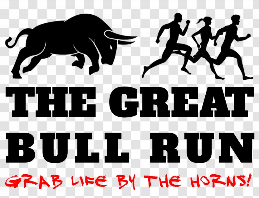 Running Of The Bulls Bull Run Drive Pamplona Regional Park Transparent PNG