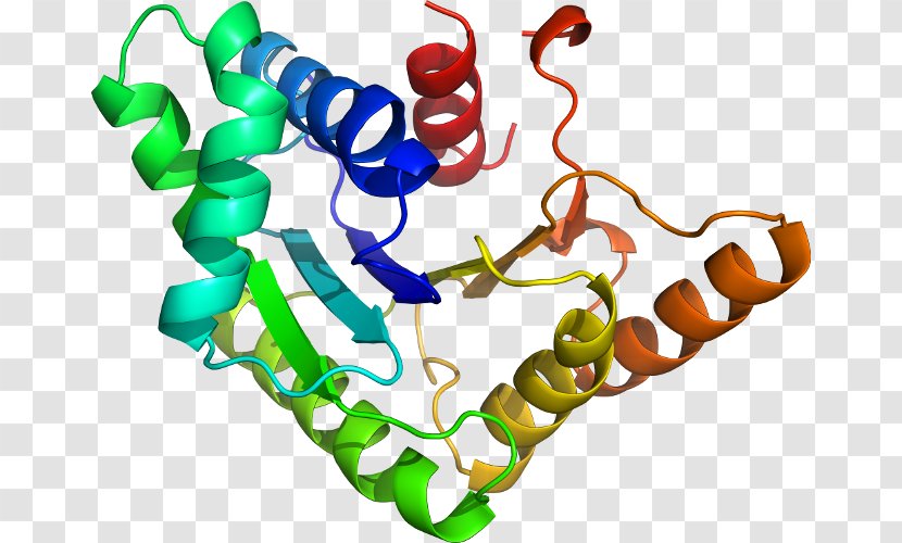 Drug Discovery Protein Tyrosine Phosphatase Estrogen Receptor Homology Modeling - Ptpn1 - Glucose6phosphate Dehydrogenase Deficiency Transparent PNG