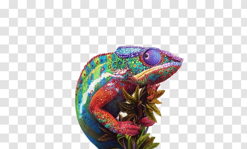 Chameleons Drawing Colored Pencil Sketch - Color - Chameleon Painting Material Picture Transparent PNG