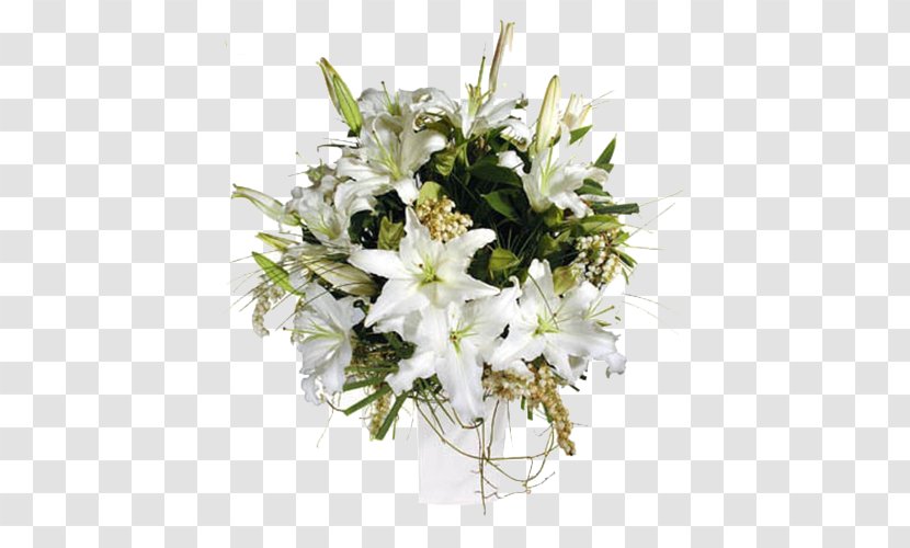Alanya Antalya Kemer Floristry Flower - Arranging - White Lily Transparent PNG