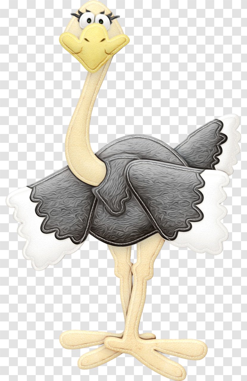 Ostrich Flightless Bird Ratite Cartoon - Watercolor - Emu Pigeons And Doves Transparent PNG