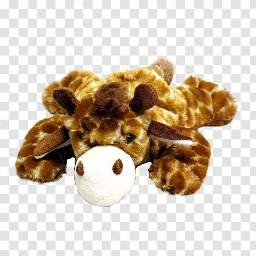 Giraffe Stuffed Animals & Cuddly Toys Shoe Giraffidae - Animal - Dog Transparent PNG