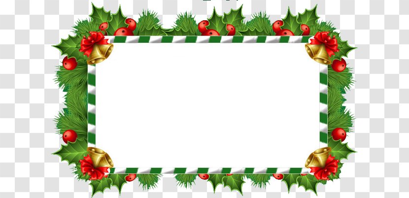 Christmas Tree Text Box - Aquifoliales Transparent PNG