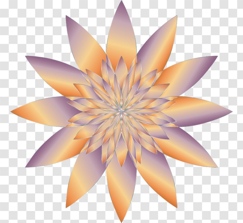 Desktop Wallpaper Petal Flower Clip Art - Fractal Geometry Transparent PNG