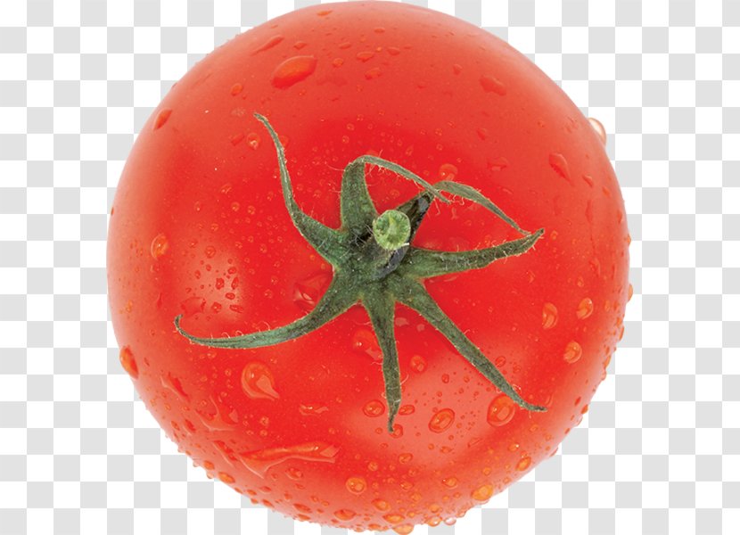 Plum Tomato Bush Vegetable - Natural Foods Transparent PNG