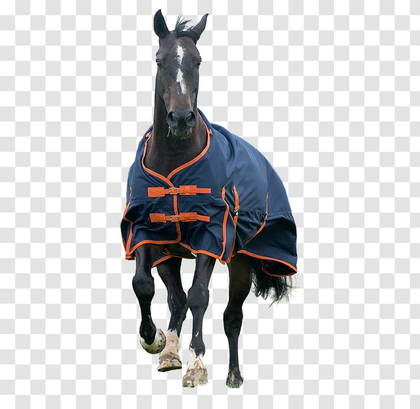 Carpet Cleaning Horse Tack Furniture - Outerwear Transparent PNG