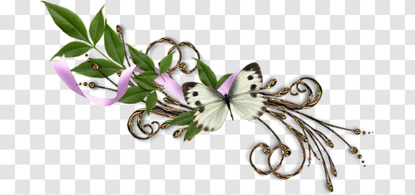 Delimiter - Flora - World Wide Web Transparent PNG