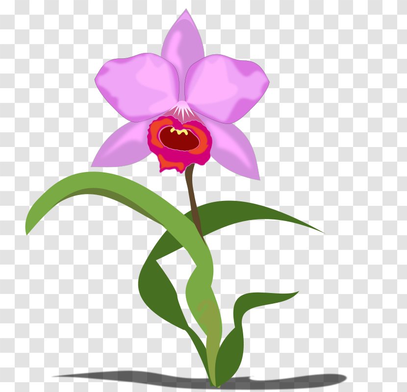 Orchids Flower Free Content Clip Art - Orchid Cliparts Transparent PNG