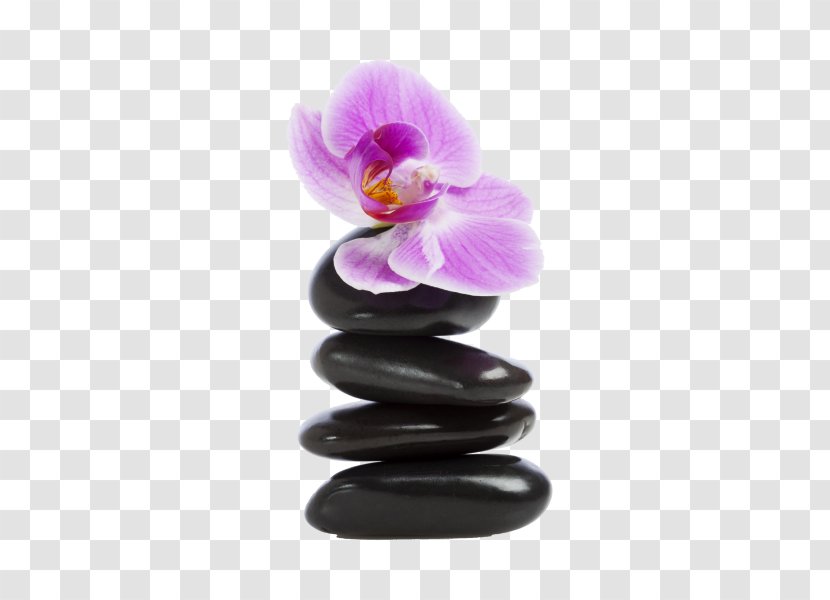 Orchids Sticker Rock Pamper Party Pebble - Violet - Zen Transparent PNG
