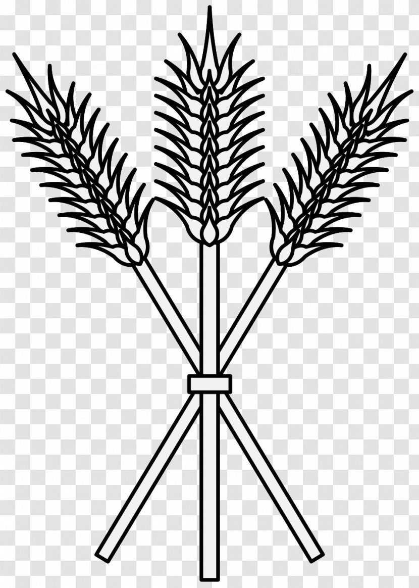 Plant Stem Drawing Heraldry Clip Art - Black And White - Wheat Transparent PNG