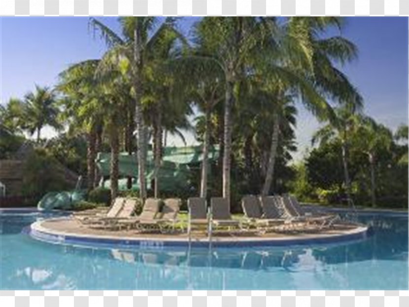 Hyatt Regency Coconut Point Resort And Spa Hotel Swimming Pool - Amenity Transparent PNG