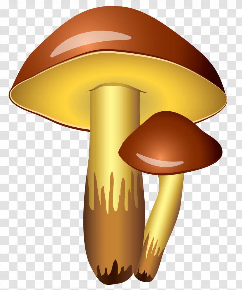 Edible Mushroom Clip Art - Free Cliparts Transparent PNG