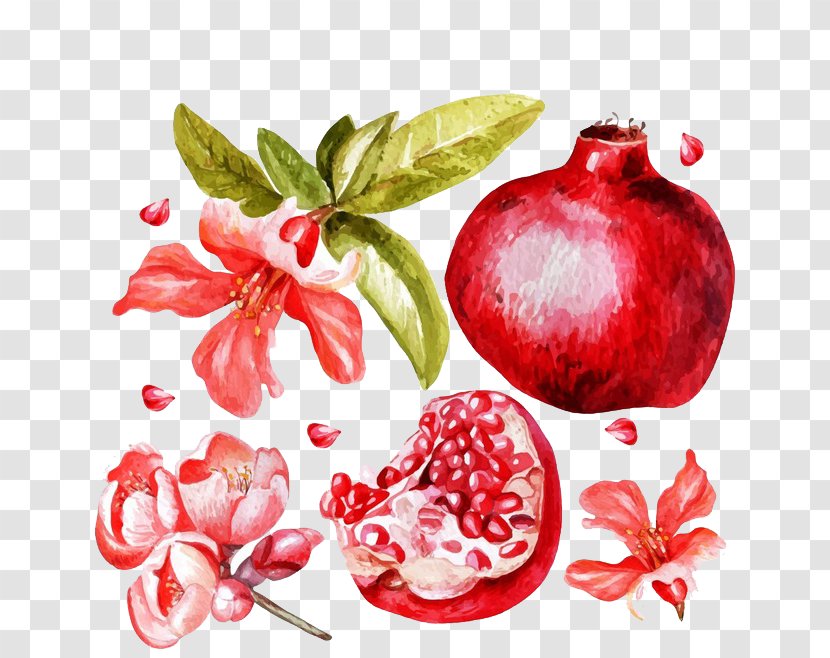 Pomegranate Juice Flower Fruit - Pomegranates - Painted And Transparent PNG