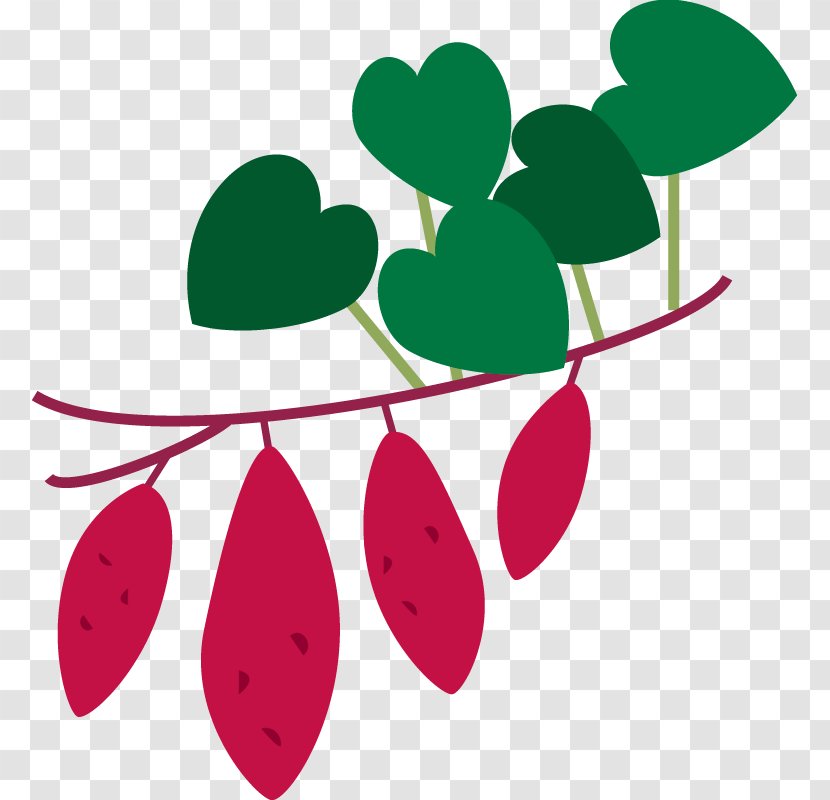 Sweet Potato Leaf Clip Art - Flowering Plant - Fall Season Transparent PNG