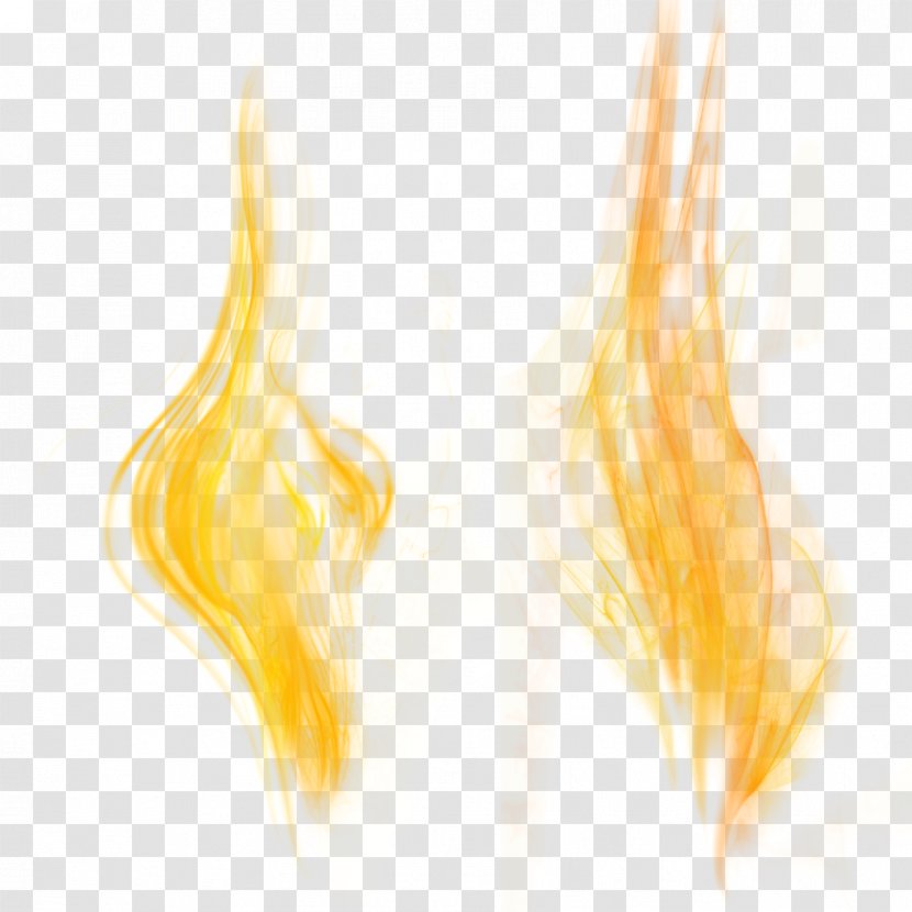 Close-up - Closeup - Flame Transparent PNG