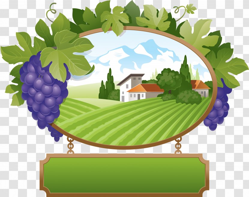 Wine Common Grape Vine Royalty-free Clip Art - Photography Transparent PNG