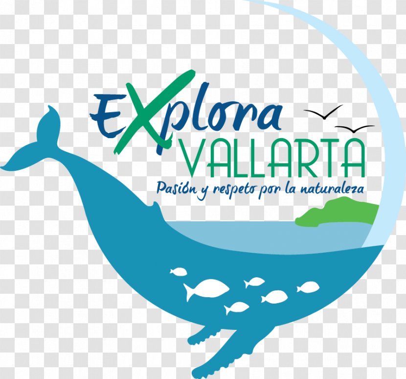 Puerto Vallarta Logo Turismo De Naturaleza: Una Opción Para La Conservación Y El Desarrollo Sustentable En Establecimientos Rurales Reserva Biosfera Bañados Del Este, Rocha, Uruguay Ecotourism Ecology - Area - Oeste Transparent PNG