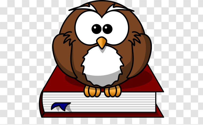 Owl Bird Cartoon Clip Art - Drawing Transparent PNG