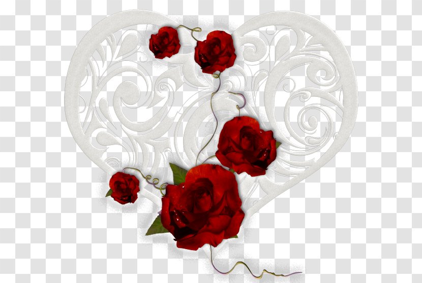 Garden Roses Adobe Photoshop Design RGB Color Model - Image Resolution - Den Transparent PNG