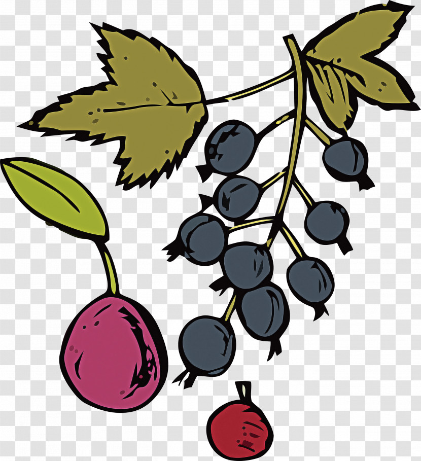 Leaf Grape Tree Fruit Flower Transparent PNG