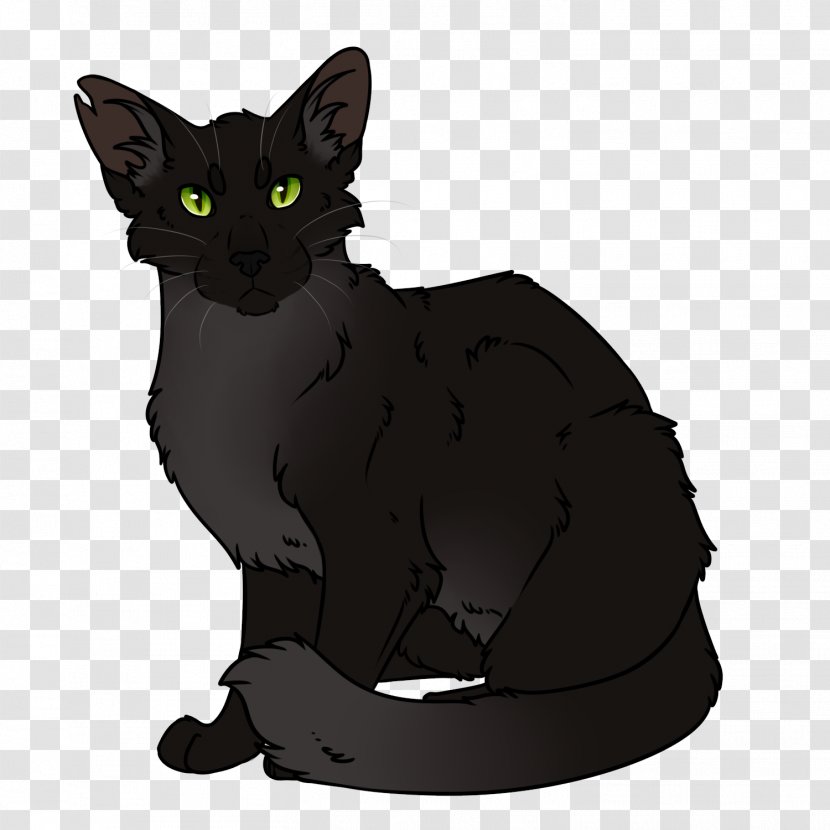 Kitten Korat Black Cat Warriors Whiskers - Claw Transparent PNG